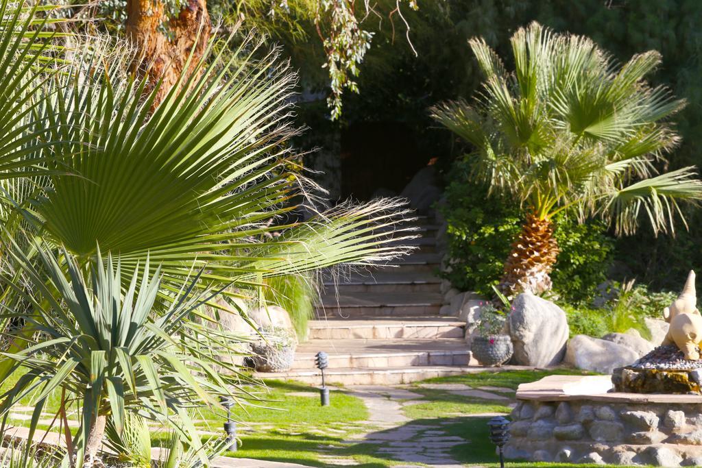 Two Bunch Palms Resort & Spa - Adults Only Desert Hot Springs Exteriör bild